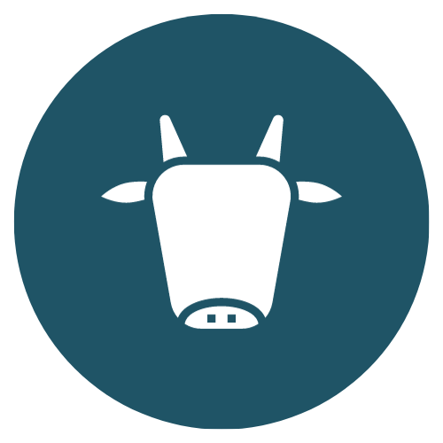 Services High Country Vet Comprehensive Large Animal Care