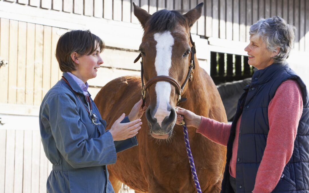 A client discusses their horse's health with a veterinarian.