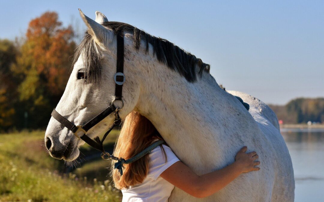 girl hugging her horse