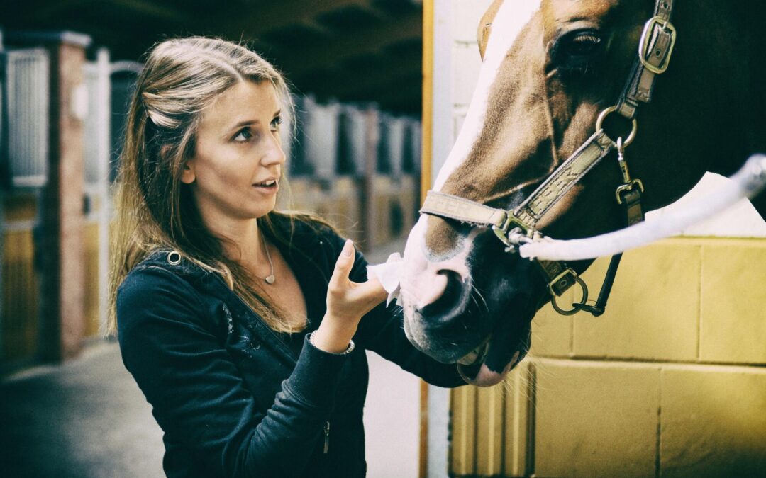 The Importance of Regular Dental Care for Your Horse: Insights from an Equine Dentist