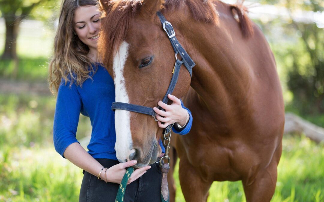 Strategies for Maintaining Peak Horse Performance in Equine Sports Medicine