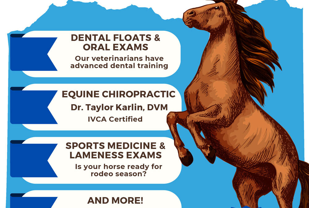 Kremmling Regional Equine Health Day