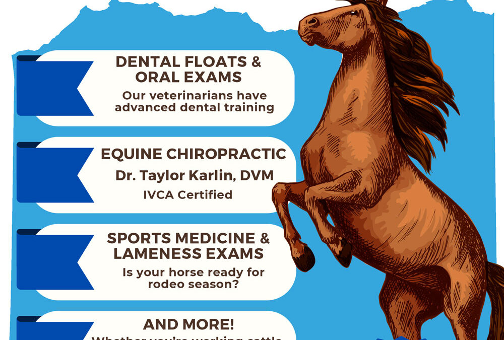 Yampa Regional Equine Health Day
