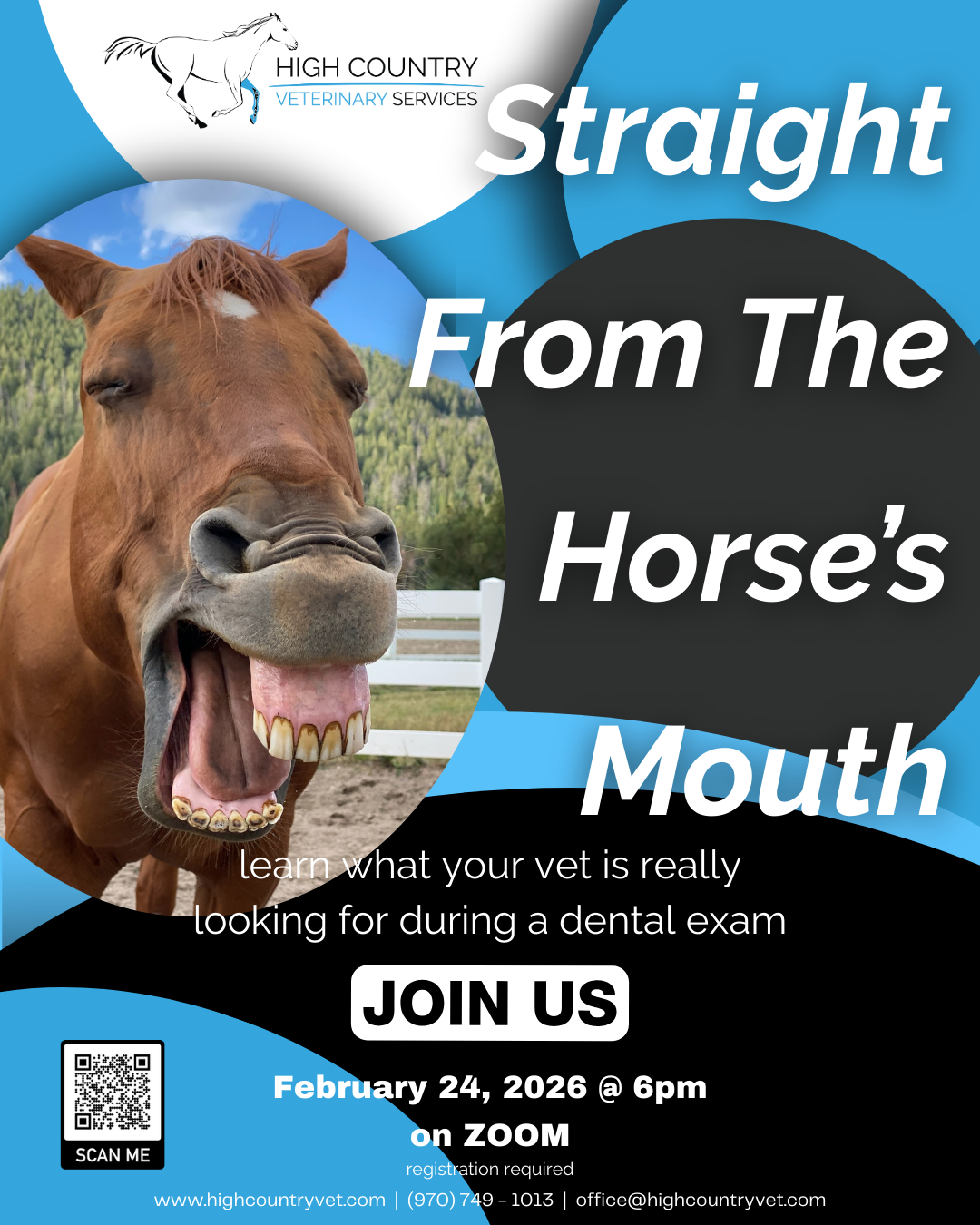 Straight From The Horse’s Mouth