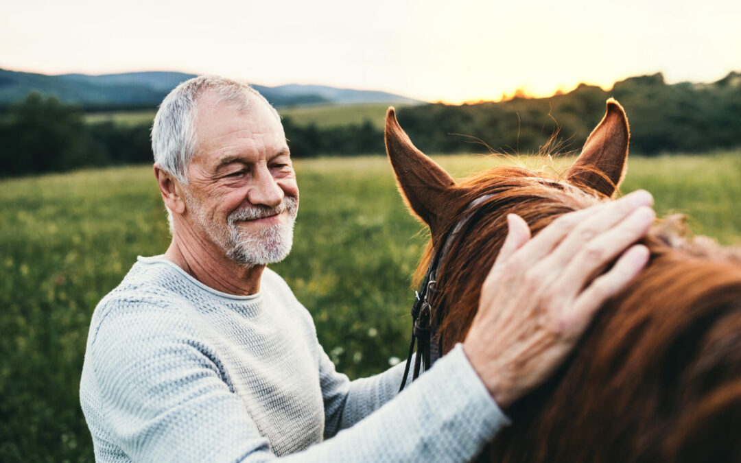 Spotting and Healing Painful Conditions With a Veterinary Chiropractic