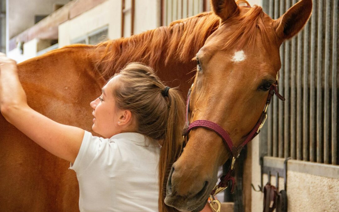 Healing Equine Ailments and Aiding Recovery With Animal Physical Therapy