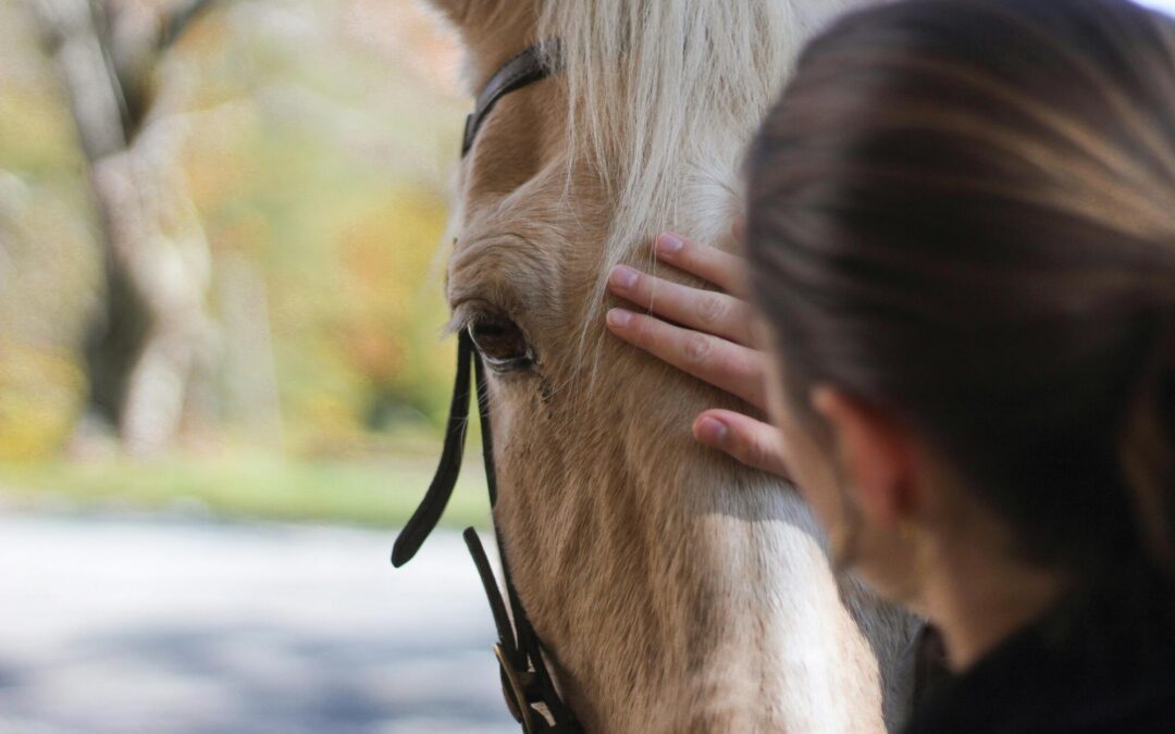 Why Do Standard Stall Rest Protocols Often Sabotage Long-Term Soft Tissue Recovery?